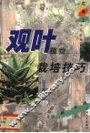 观叶植物栽培技巧