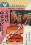 金针菇高效栽培技术