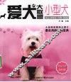 小型犬  爱犬大联盟