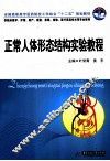 正常人体形态结构实验教程