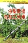 油梨栽培与加工利用