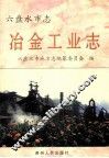 六盘水市志  冶金工业志