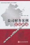 公司财务案例实验教程