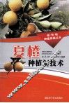 夏橙种植新技术
