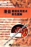 滑菇栽培实用技术彩色图解