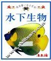 我的第一本小百科  水下生物