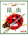 我的第一本小百科  昆虫