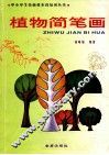植物简笔画