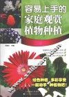 容易上手的家庭观赏植物种植