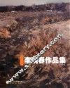 李晓春作品集