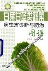 白菜甘蓝类蔬菜病虫害诊断与防治图谱