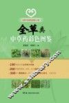 实用中草药彩色图鉴大全集  全草类  中草药彩色图鉴
