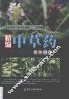 精编中草药原色图谱