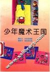 少年魔术王国