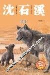 动物小说大王沈石溪  狼妻  注音读本