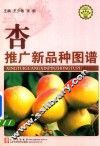 杏推广新品种图谱