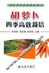 胡萝卜四季高效栽培