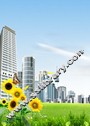 王维诗选：四僧插图版