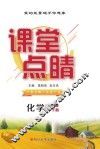 课堂点睛  化学  九年级  下