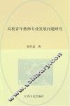 高校青年教师专业发展问题研究