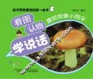 看图认物学说话  蘑菇就像小雨伞