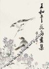 王和平花鸟画集