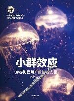 小群效应  席卷海量用户的隐性力量