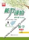 能力评价初中·数学  八年级  下  人教版