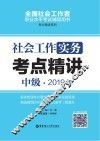 社会工作实务（中级）2019年考点精讲