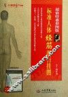 标准人体经筋循行挂图  详解读本
