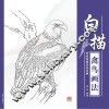 传统线描技法详解  白描禽鸟画法