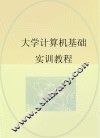 大学计算机基础实训教程