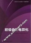 初级会计电算化