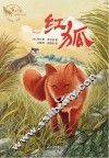 红狐
